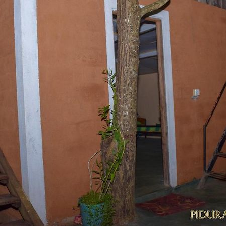 Pidurangala Hostel สิกิริยา ภายนอก รูปภาพ