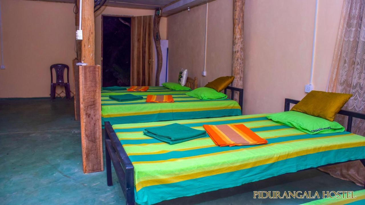 Pidurangala Hostel สิกิริยา ภายนอก รูปภาพ