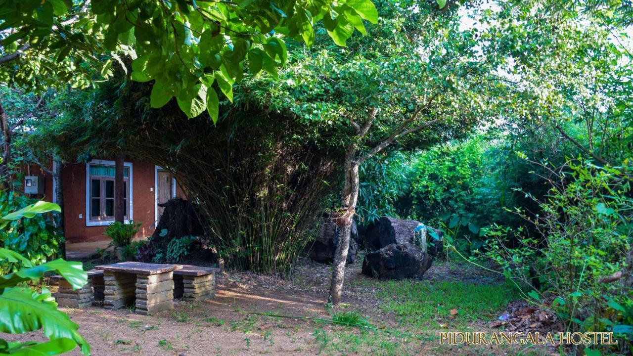 Pidurangala Hostel สิกิริยา ภายนอก รูปภาพ