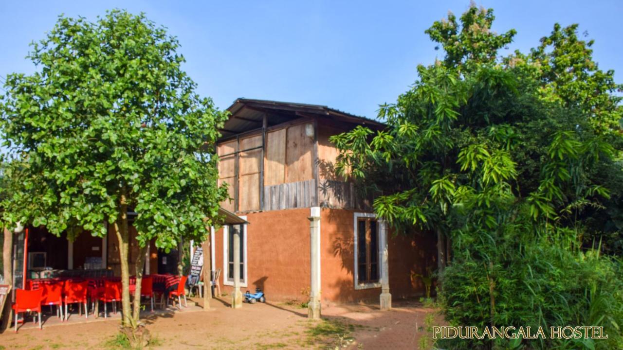 Pidurangala Hostel สิกิริยา ภายนอก รูปภาพ