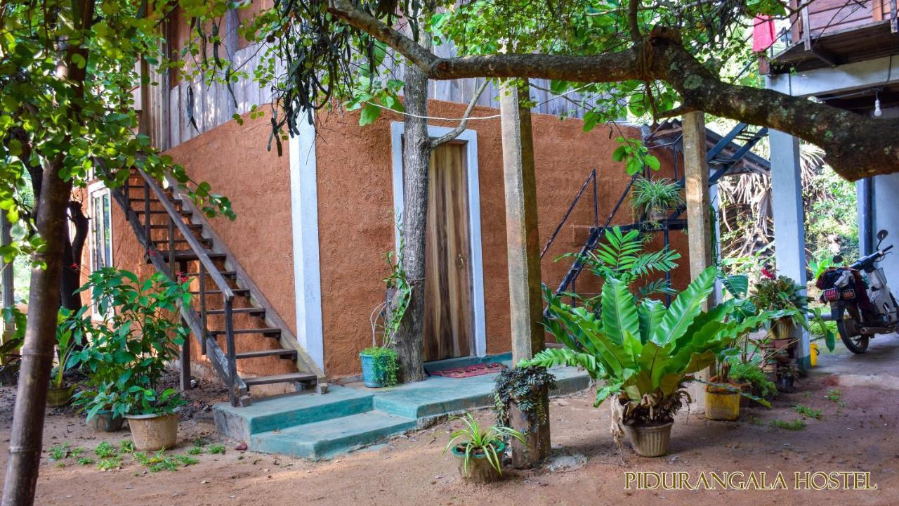 Pidurangala Hostel สิกิริยา ภายนอก รูปภาพ