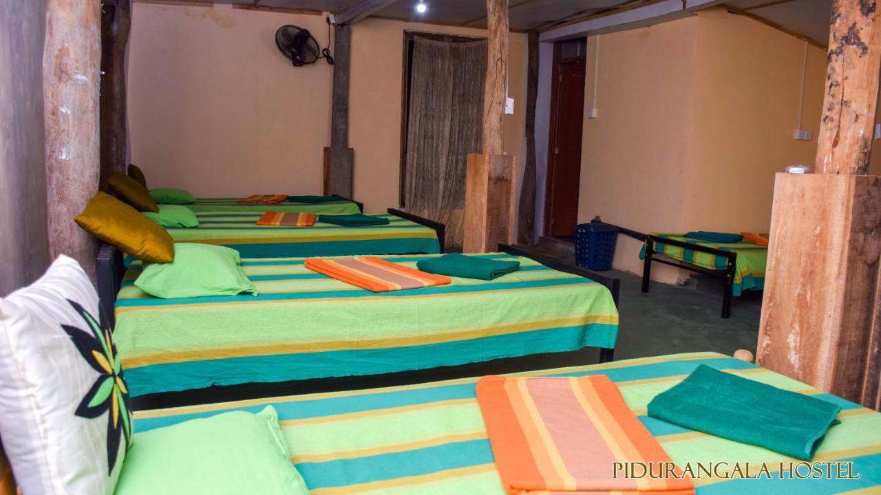 Pidurangala Hostel สิกิริยา ภายนอก รูปภาพ