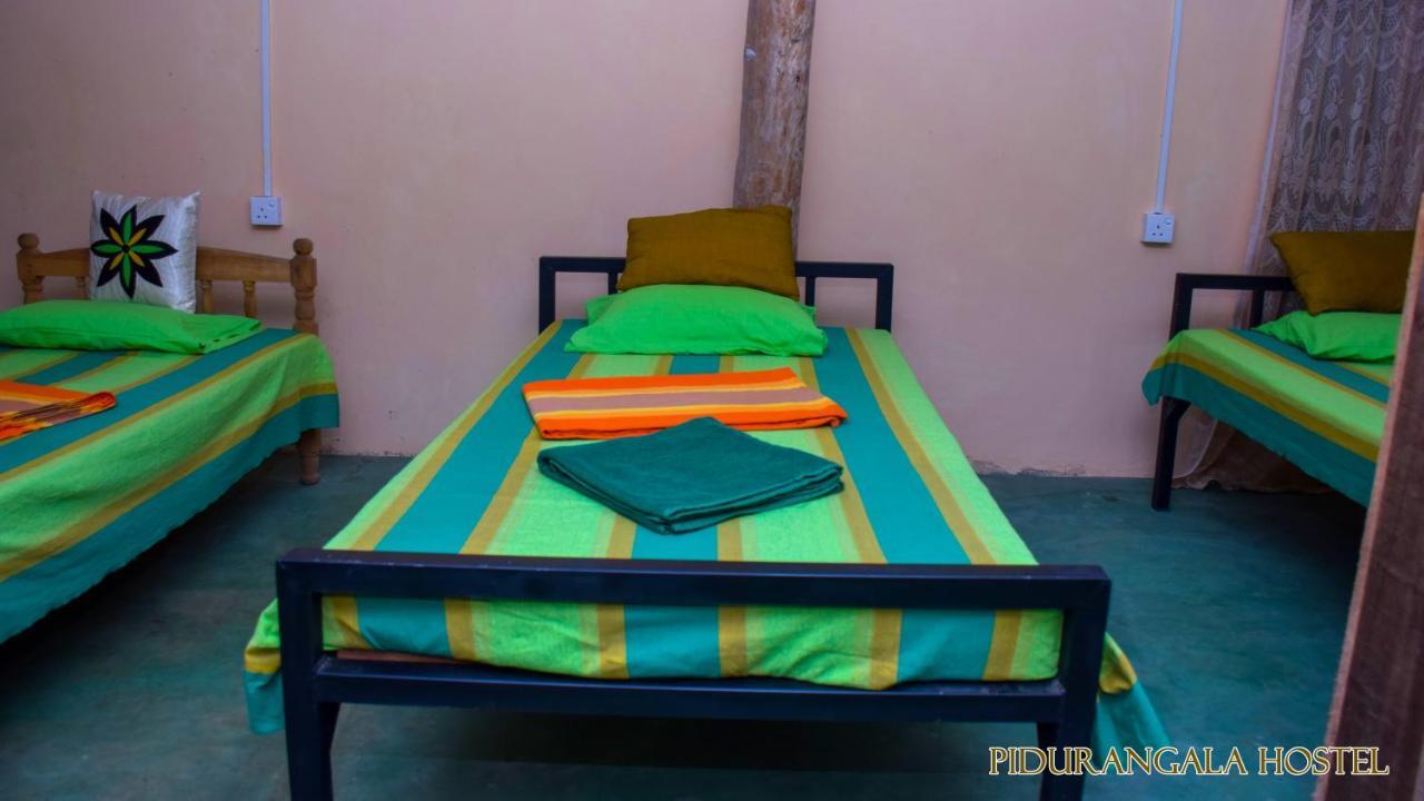 Pidurangala Hostel สิกิริยา ภายนอก รูปภาพ